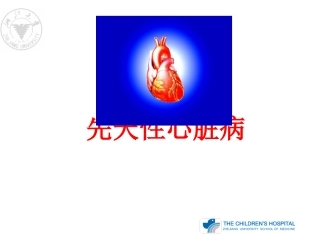 心血管的胚胎发育及血液循环