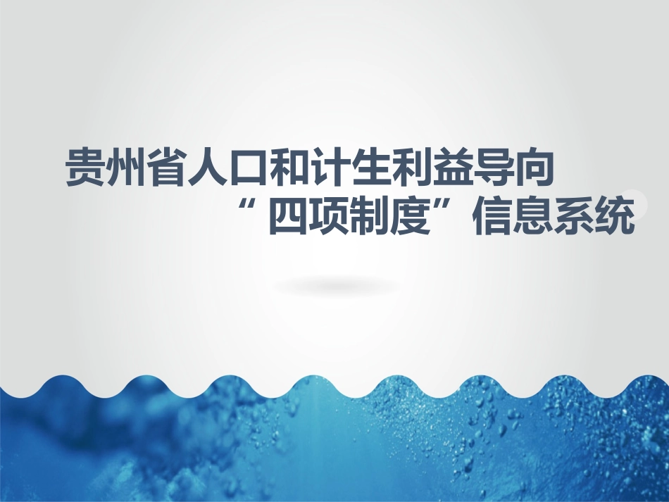计生利益导向四项制度信息系统_第1页