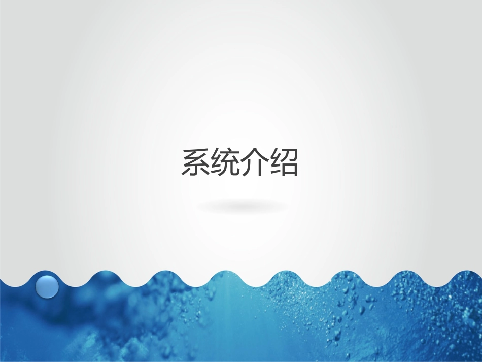 计生利益导向四项制度信息系统_第3页