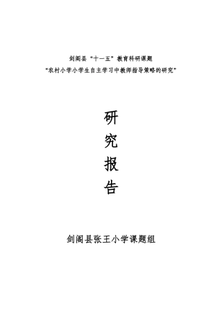 张王小学课题研究报告1