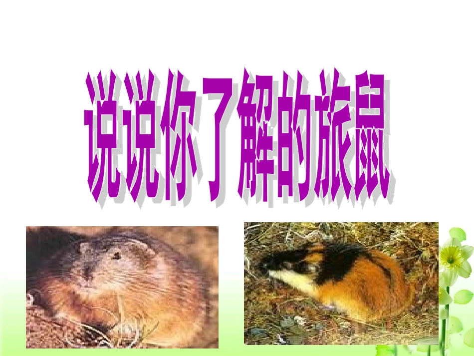 《旅鼠之谜》参考课件4_第3页