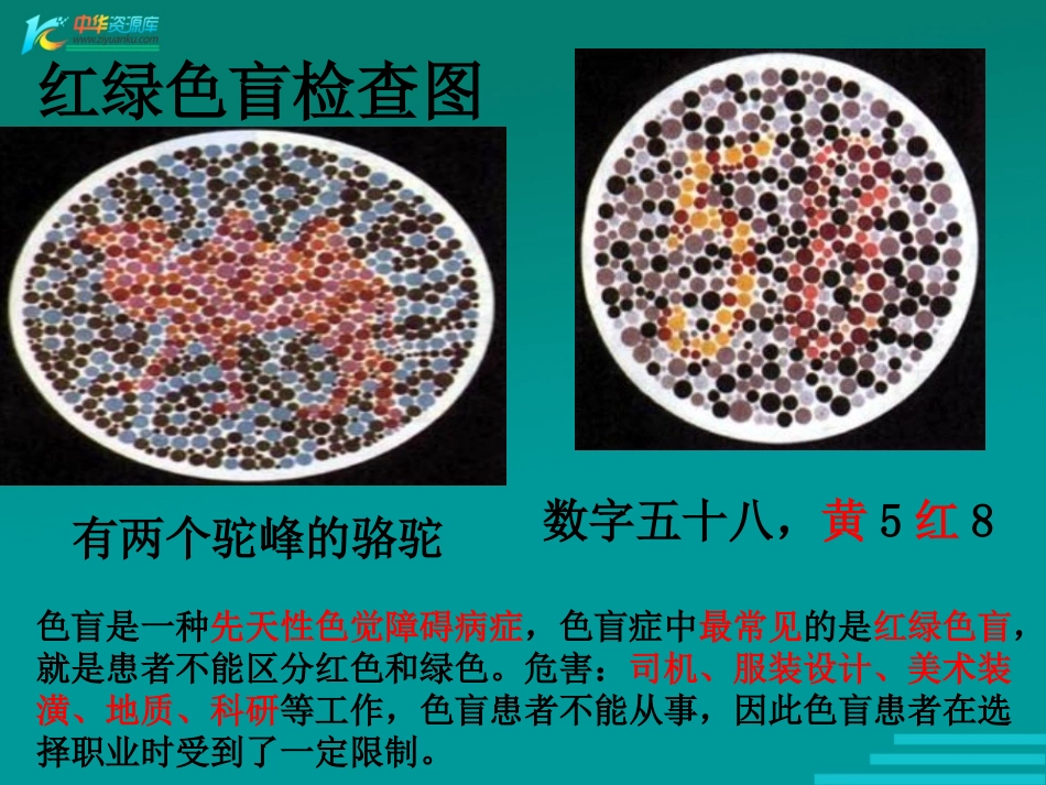 人类优生与基因组计划_第3页
