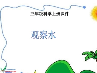 苏教版小学科学三年级上册《观察水》课件(1)