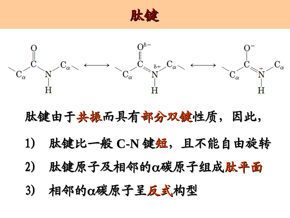 蛋白质的二级结构_第2页