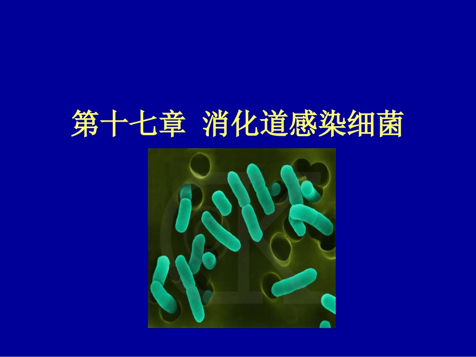 第十七章消化道感染细菌_第1页