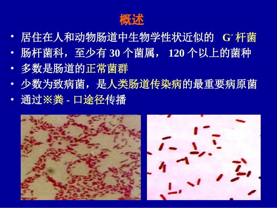 第十七章消化道感染细菌_第2页