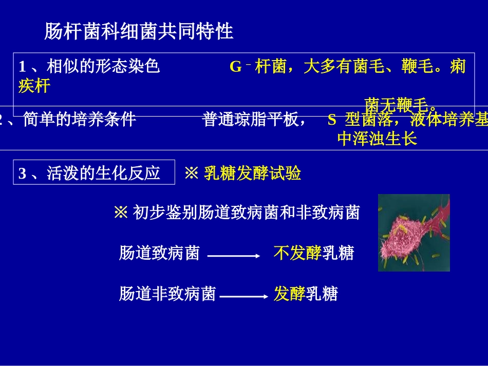第十七章消化道感染细菌_第3页