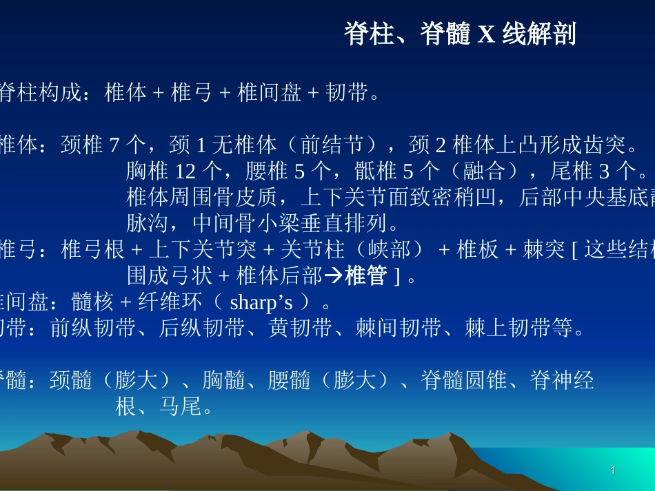 脊柱X线解剖_第1页