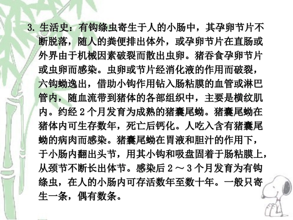 人畜共患寄生虫病的检疫_第3页