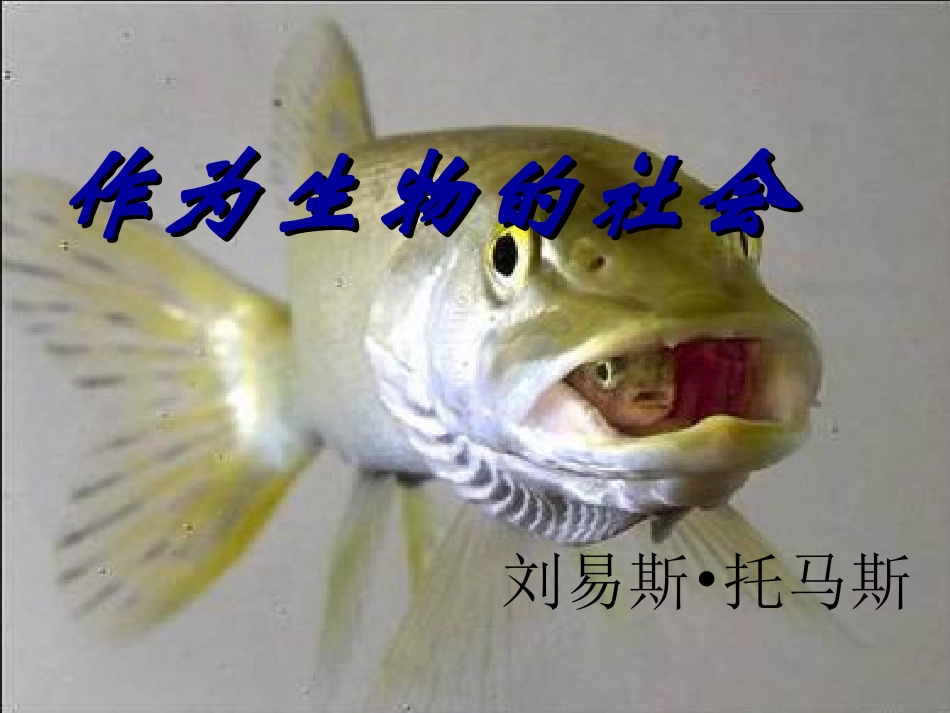 作为生物的社会_第1页