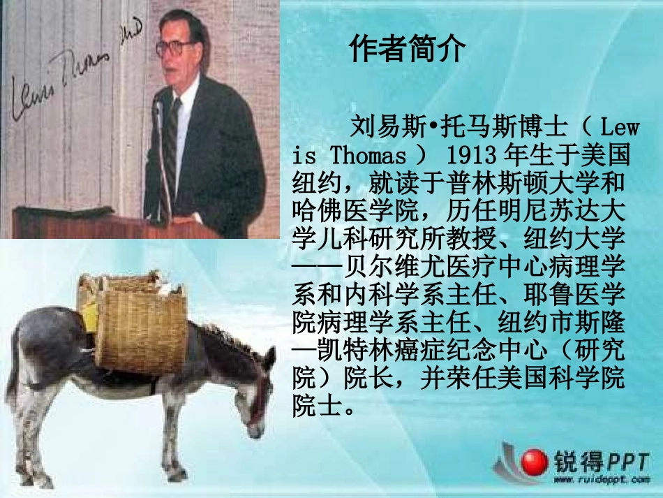 作为生物的社会_第3页