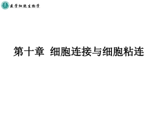 第十章 细胞连接与细胞粘连