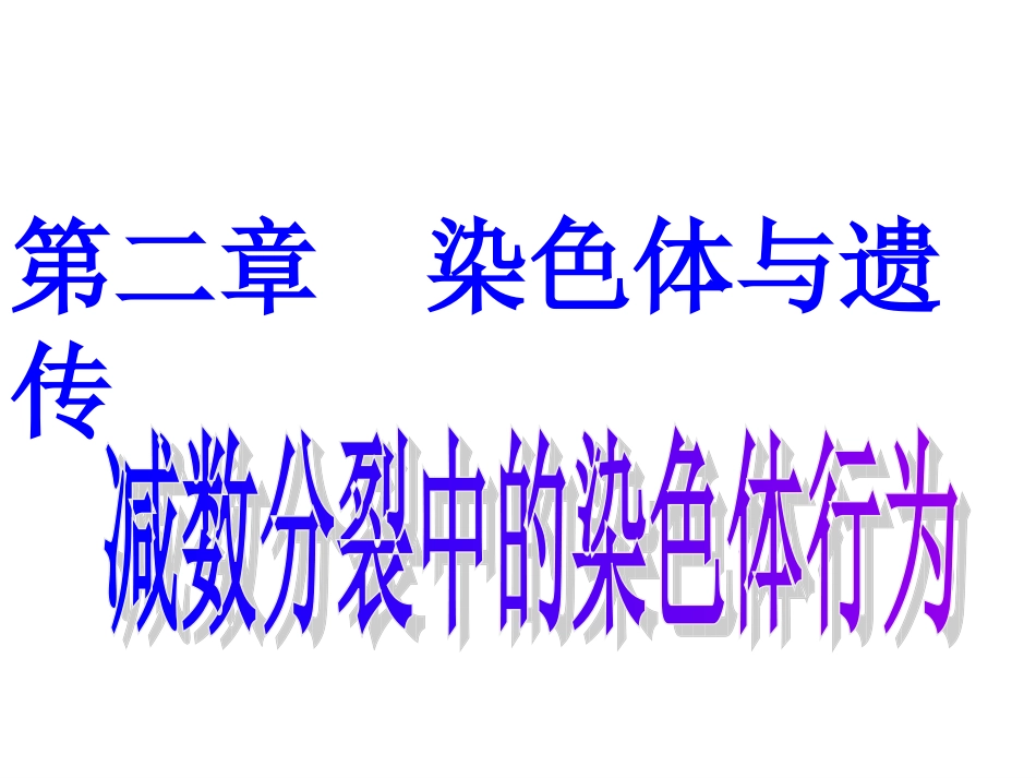 唐氏综合症是人类最常见的一种染色体病_第3页