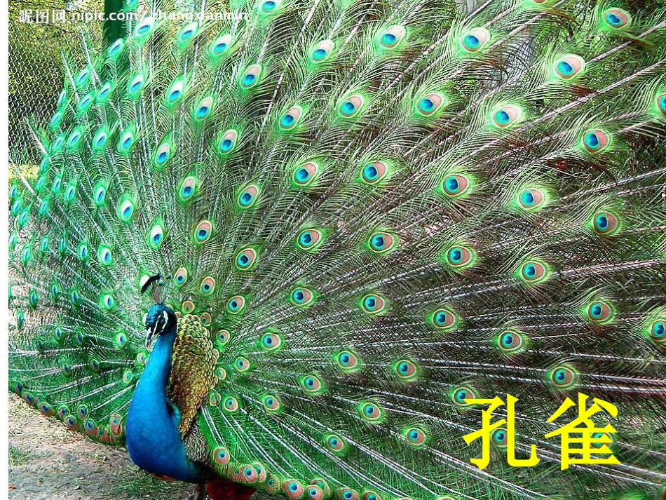 识字7课件 (2)_第1页
