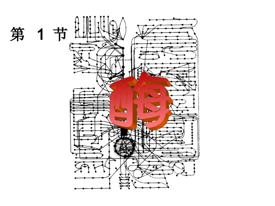 降低化学反应活化能的酶课件_第3页