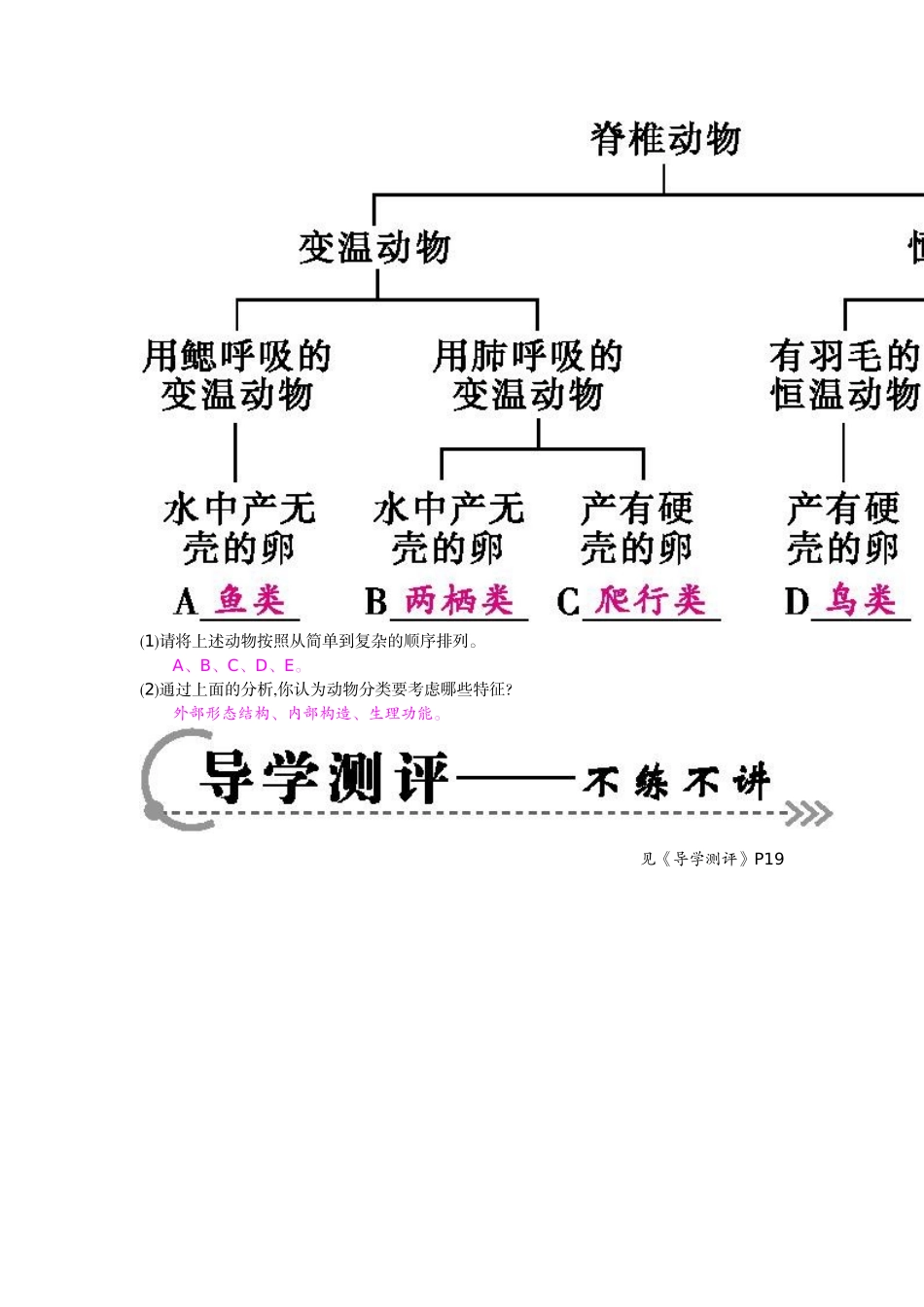 《第2课时》导学案_第3页