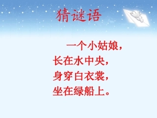 《荷花》教学课件2