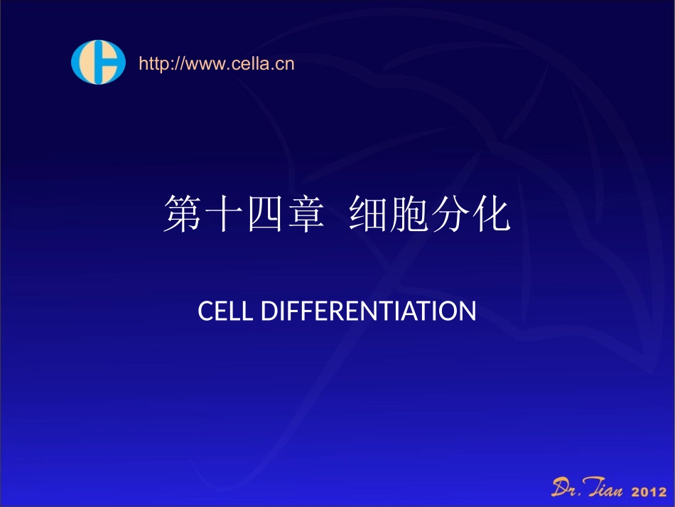细胞分化与凋亡_第1页