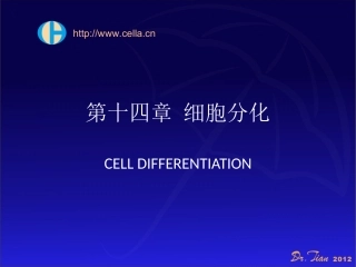 细胞分化与凋亡