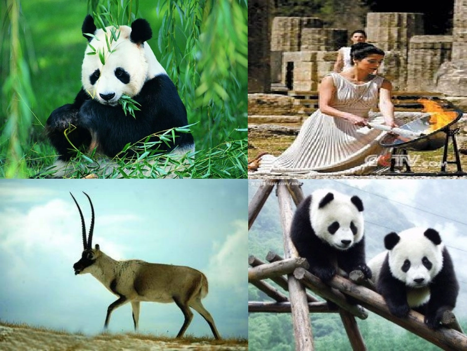 网上寻宝示范课_第2页