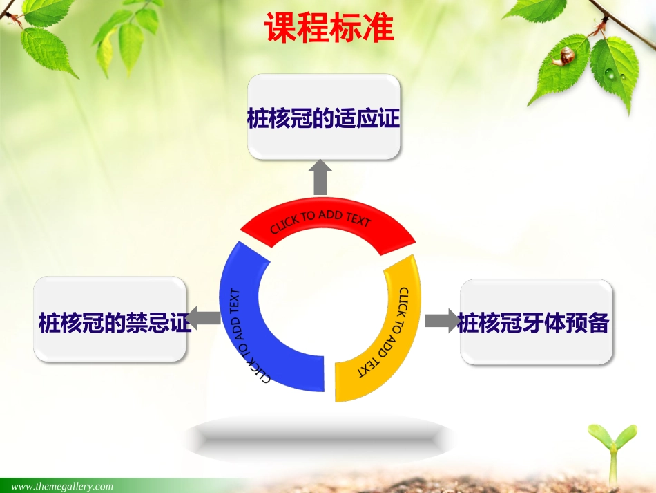 口腔修复学第四章-桩核冠_第2页