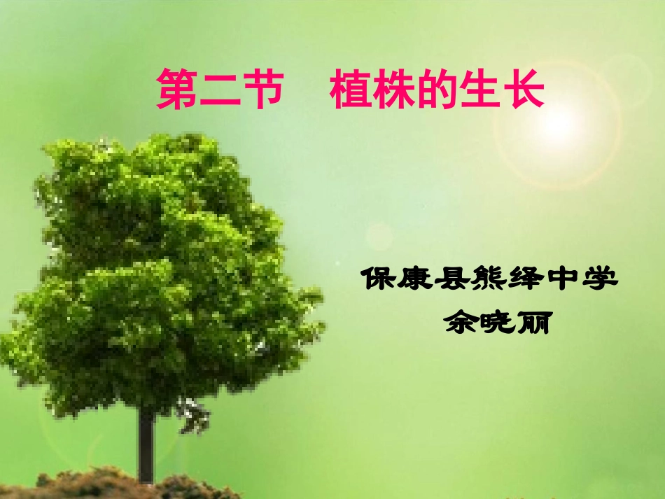 植株的生长修改2_第1页