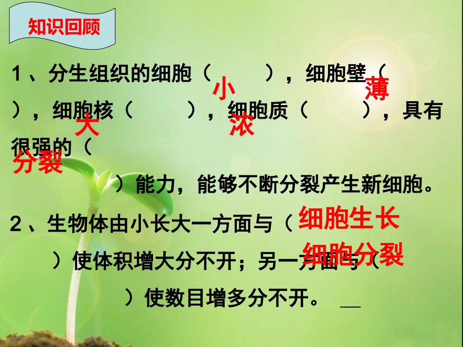 植株的生长修改2_第2页