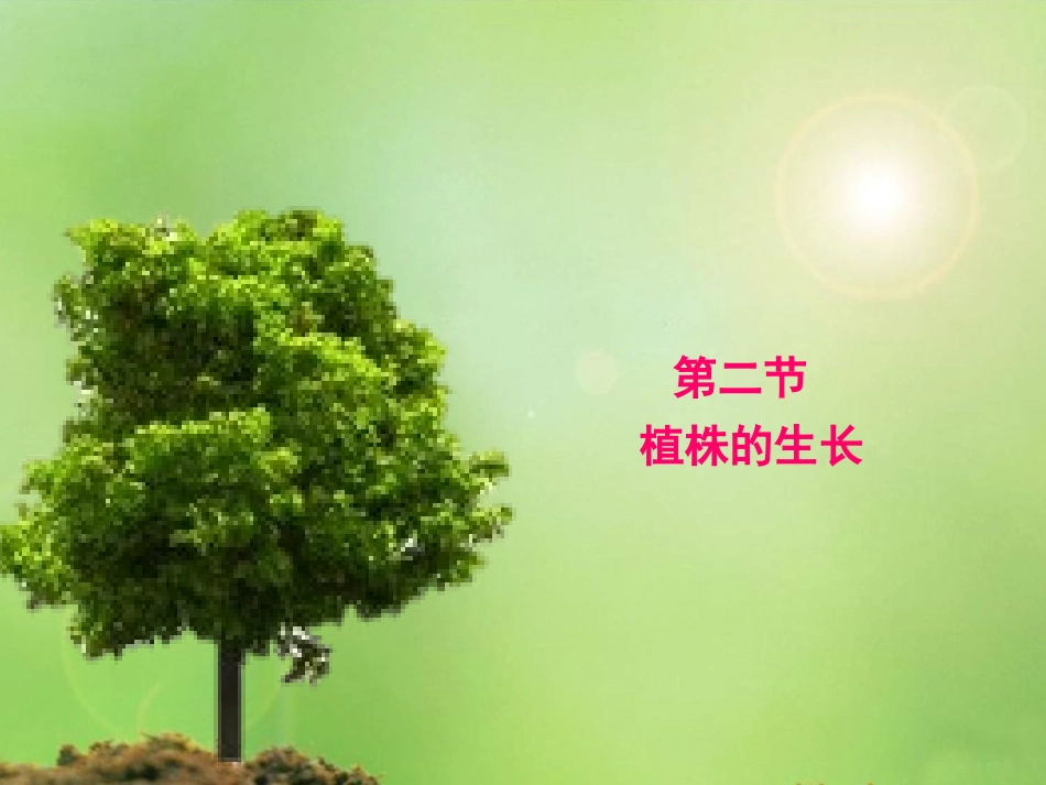 植株的生长修改2_第3页