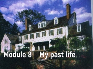 七年级英语Mypastlife课件2