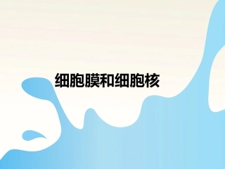 细胞膜与细胞核