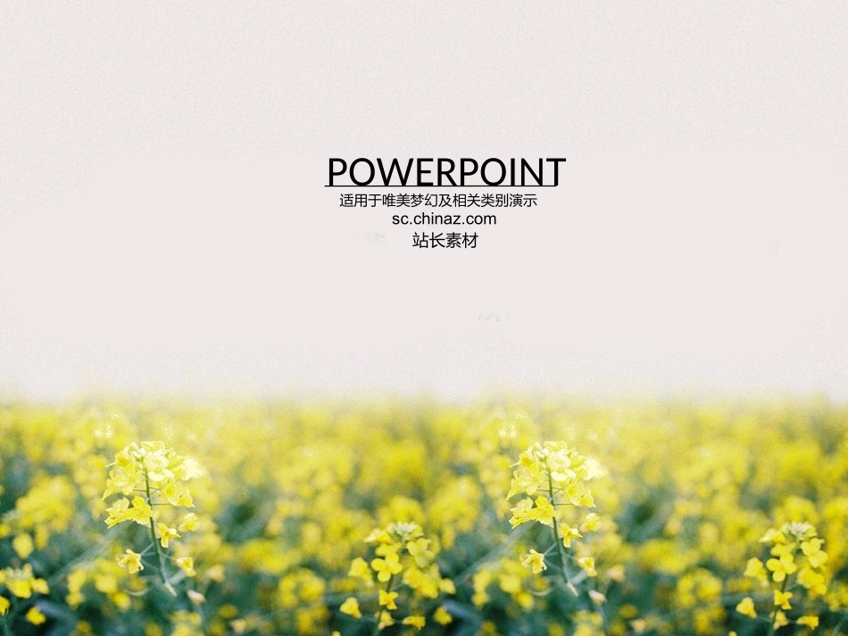 油菜花田模板_第1页