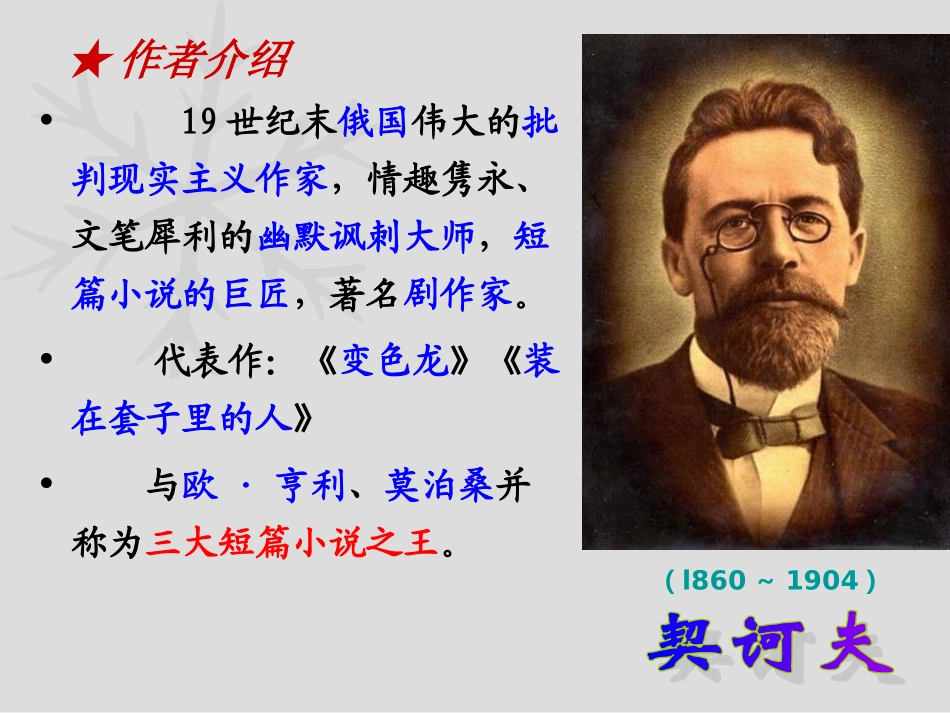 《装在套子里的人》课件_第2页