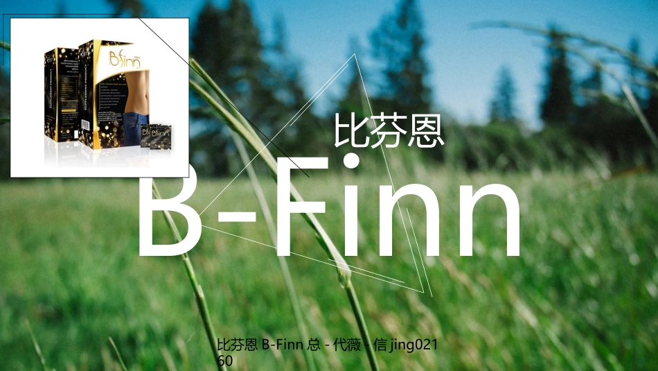 BFinn比芬恩产品介绍_第1页