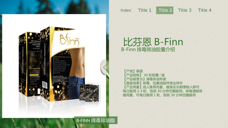 BFinn比芬恩产品介绍_第2页