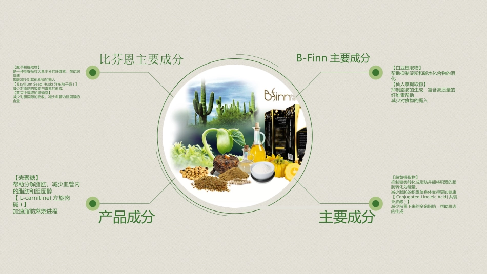 BFinn比芬恩产品介绍_第3页