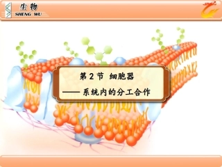 三钢二-细胞器完美版