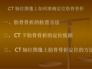 肋骨骨折计数方法