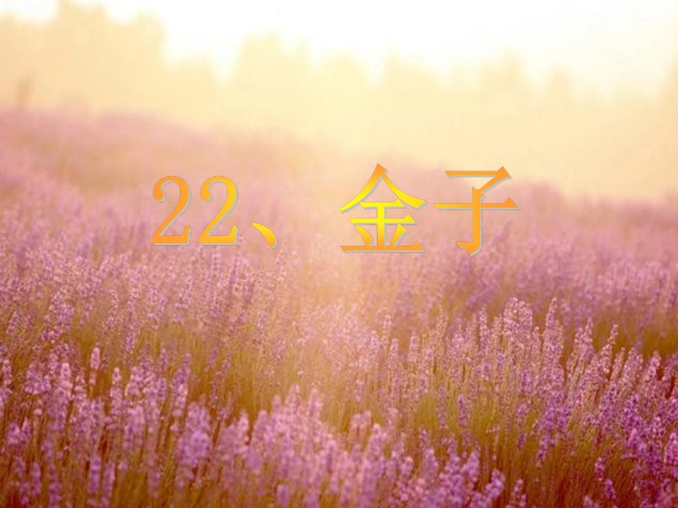 《金子》课件(2)_第1页
