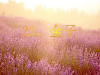 《金子》课件(2)