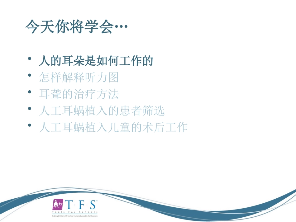 CIEP讲稿---人工耳蜗知识入门_第2页