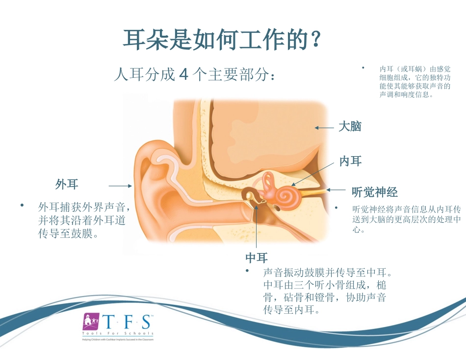 CIEP讲稿---人工耳蜗知识入门_第3页