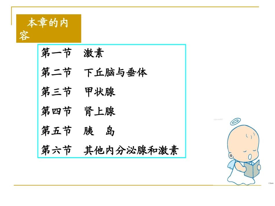 内分泌(药学)_第2页