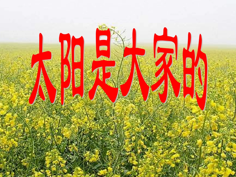 太阳是大家的__第1页