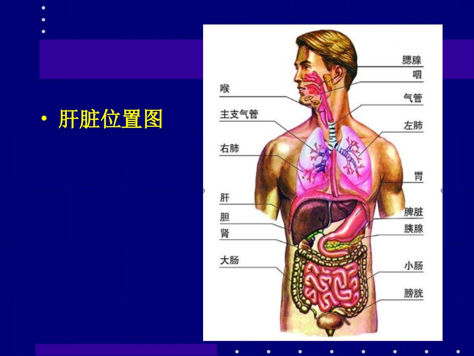 肝癌介入治疗_第2页
