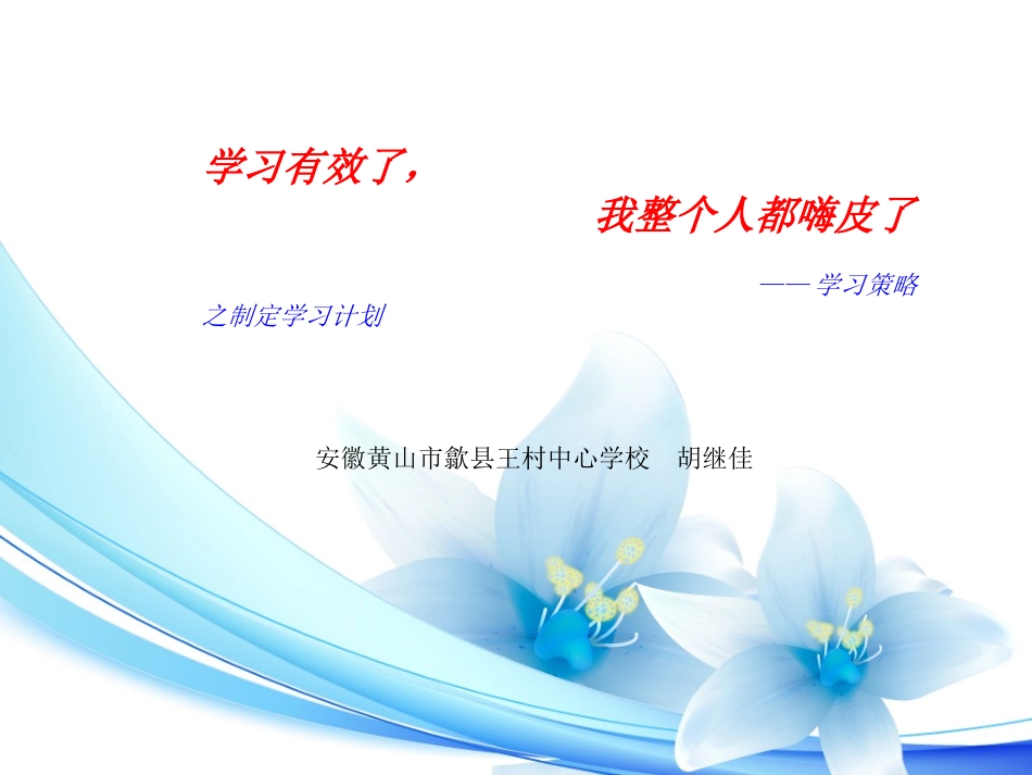 学习策略之计划制定_第1页