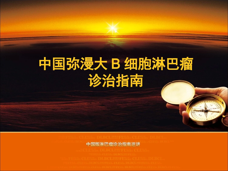 DLBCL指南-2011 中文_第1页