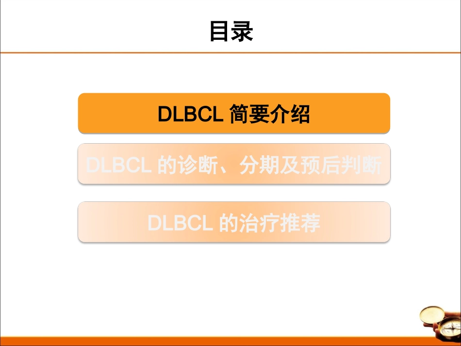 DLBCL指南-2011 中文_第3页