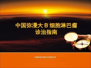 DLBCL指南-2011 中文