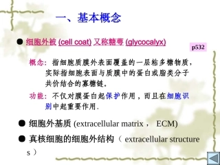 细胞质膜细胞外基质