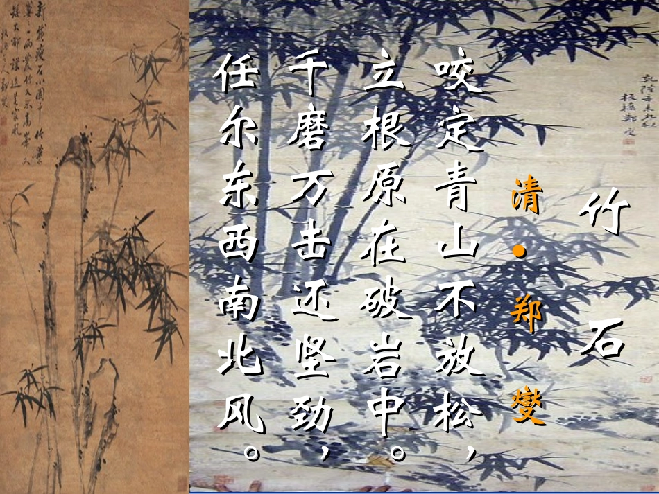 石缝间的生命(2008年11月1日)分解_第3页